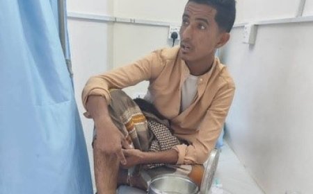 الكلاب الضالة تعود لتهاجم.. وأهالي بروم يطالبون بالتدخل