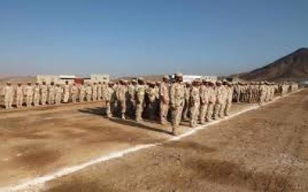 قرار شجاع.. إعادة هيكلة لواء بارشيد لحماية استقرار حضرموت