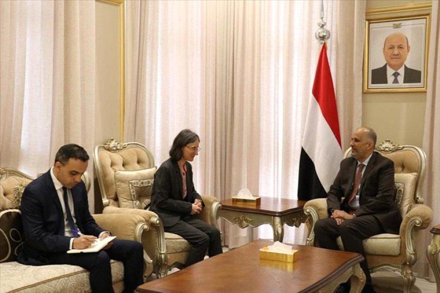 وزير المالية يناقش مع السفيرة الفرنسية تعزيز التعاون الاقتصادي