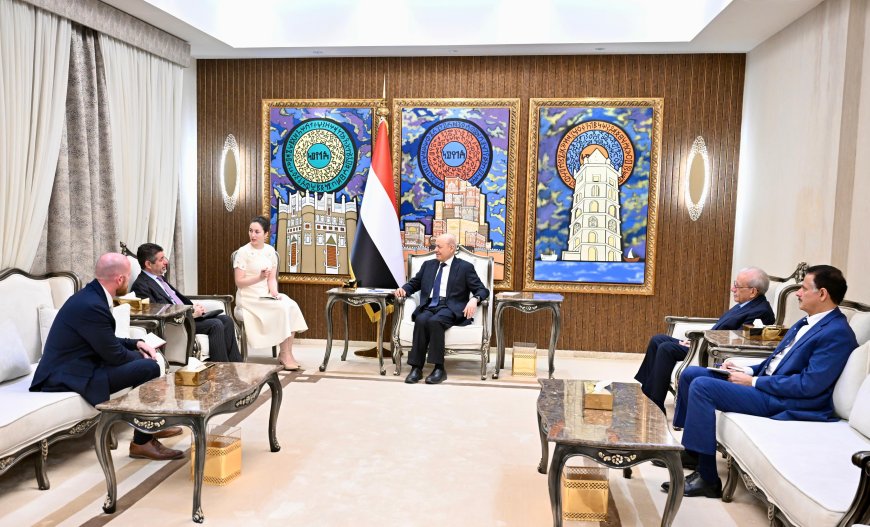 العليمي يؤكد أهمية استمرار الضغوط على النظام الإيراني وتفكيك مليشياته