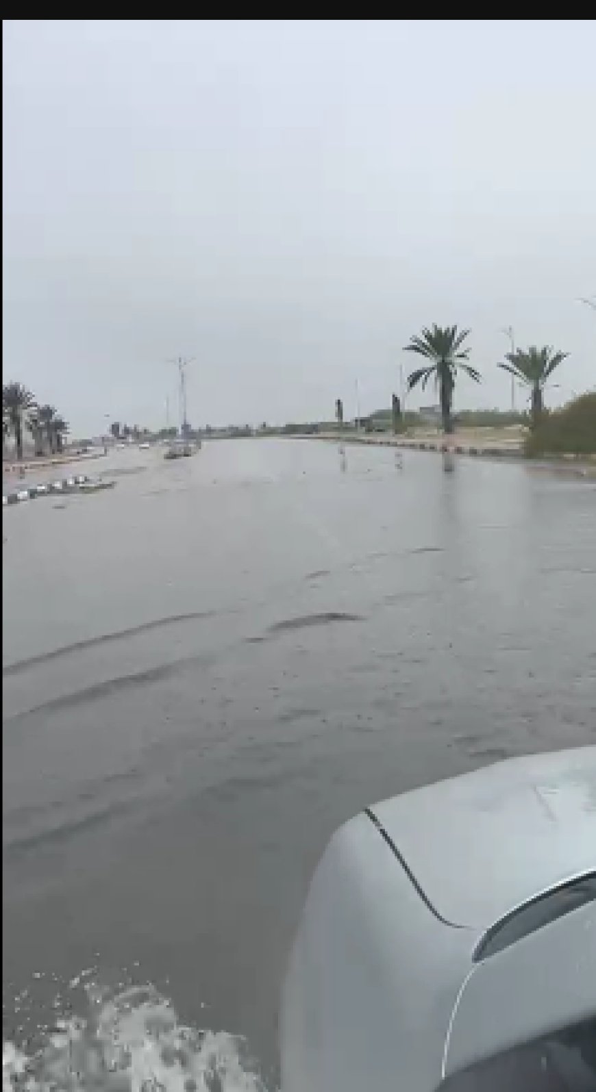 المنخفض الجوي يواصل تأثيره.. أمطار خفيفة تتحول إلى غزيرة مرتقبة