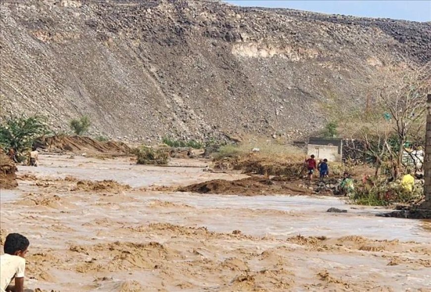 تعرف كم بلغ عدد ضحايا السيول في المخا وموزع.. تفاصيل