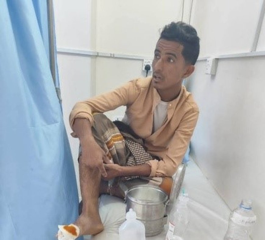 الكلاب الضالة تعود لتهاجم.. وأهالي بروم يطالبون بالتدخل