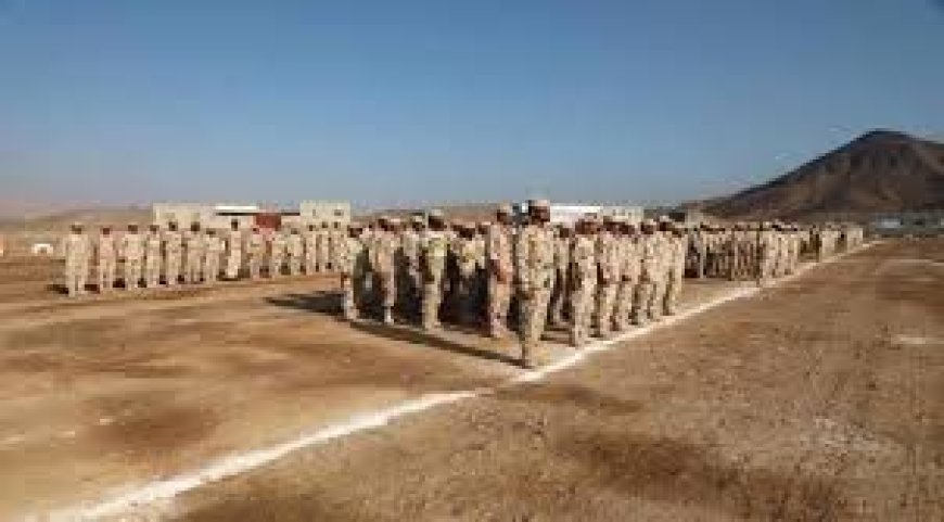 قرار شجاع.. إعادة هيكلة لواء بارشيد لحماية استقرار حضرموت