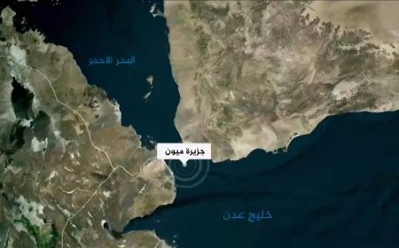 مصادر: القوات الحكومية تمنع طائرة مجهولة من الهبوط في جزيرة ميون