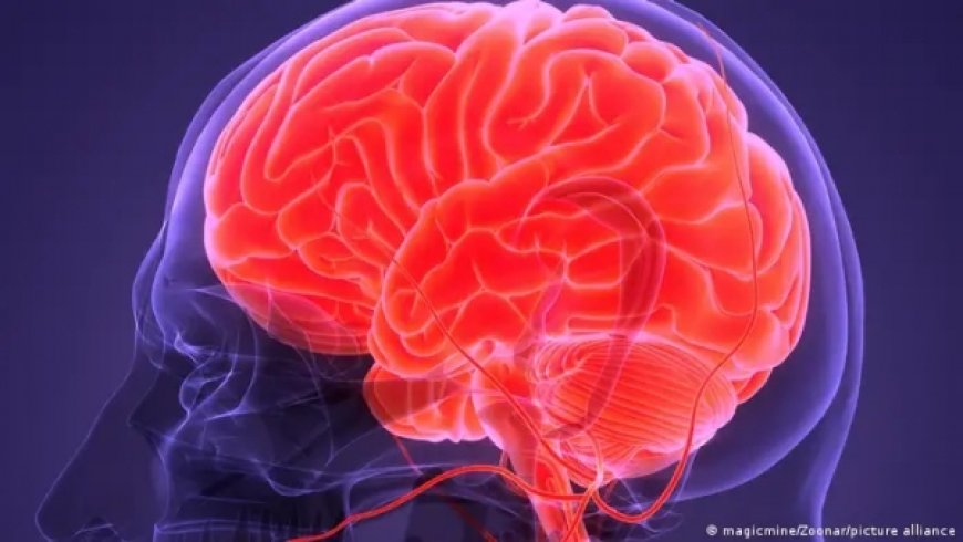 نصائح للحفاظ على دماغ سليم مع التقدم في العمر