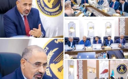 الرئيس الزُبيدي يطّلع على سير العمل في الهيئات المساعدة