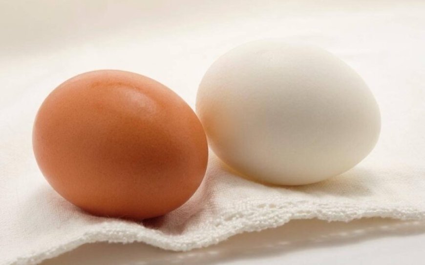 أخصائي سعودي يكشف الفائدة التغذوية بين البيض البني والابيض وسبب اختلاف لونهما