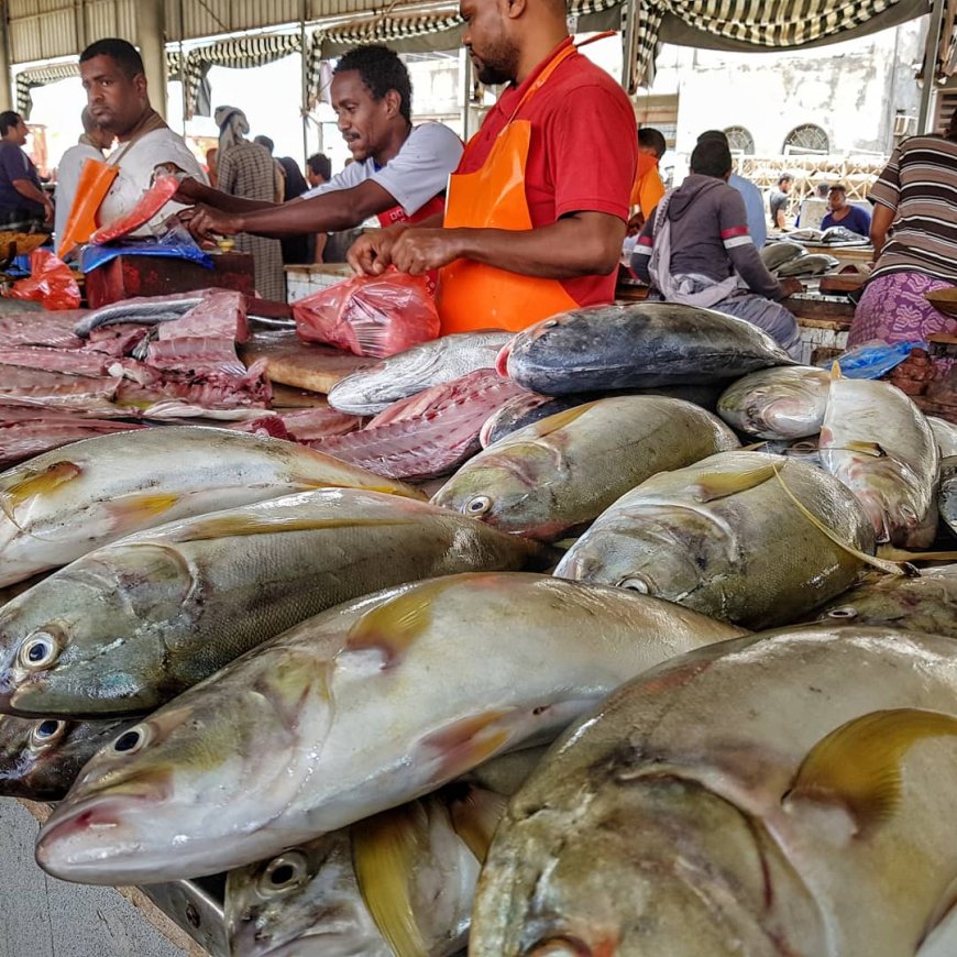 إرتفاع هائل لسعر السمك بمحافظة حضرموت
