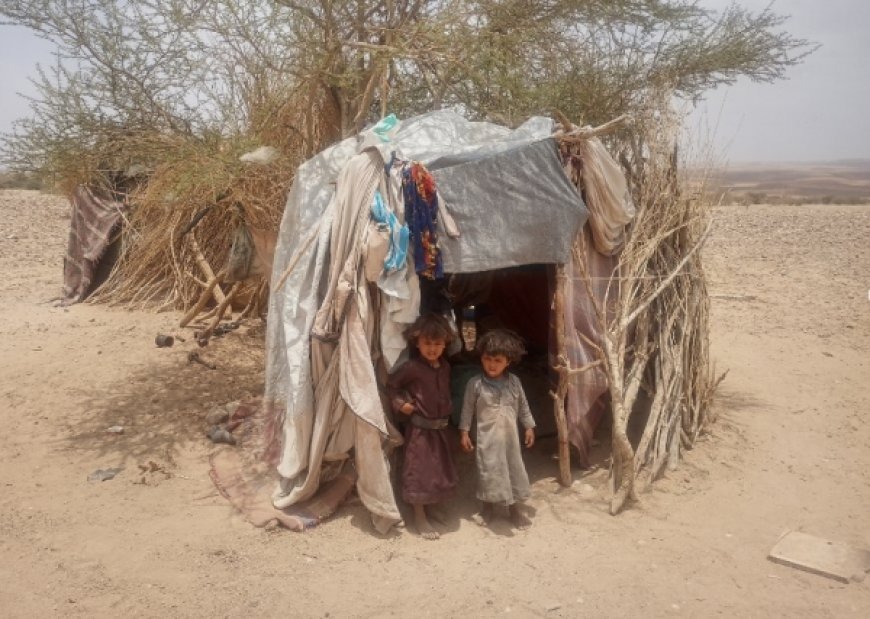 الأمم المتحدة: نزوح نحو 27 ألف يمني منذ بداية 2023