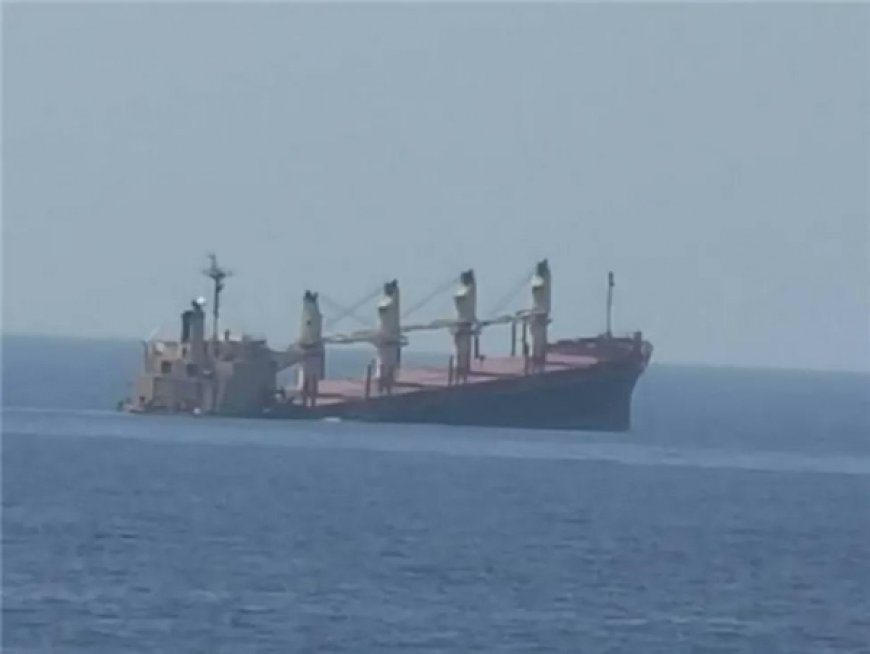 تحرك وشيك من الحكومة الشرعية لمقاضاة الشركة المالكة للسفينة الغارقة روبيما