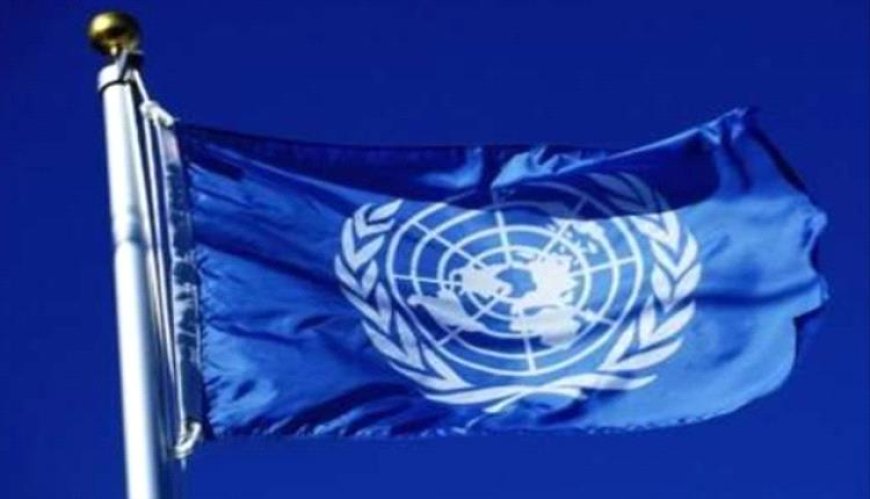 الأمم المتحدة تحذر من تدهور الأمن الغذائي باليمن