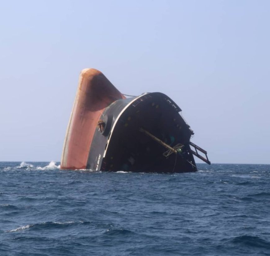 الحكومة تتهم مالك سفينة روبيمار بالتهاون وتحمله مسؤولية الأضرار