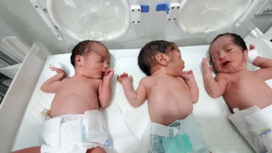 ولادة نادرة لثلاثة أطفال توائم في هيئة مستشفى مأرب العام