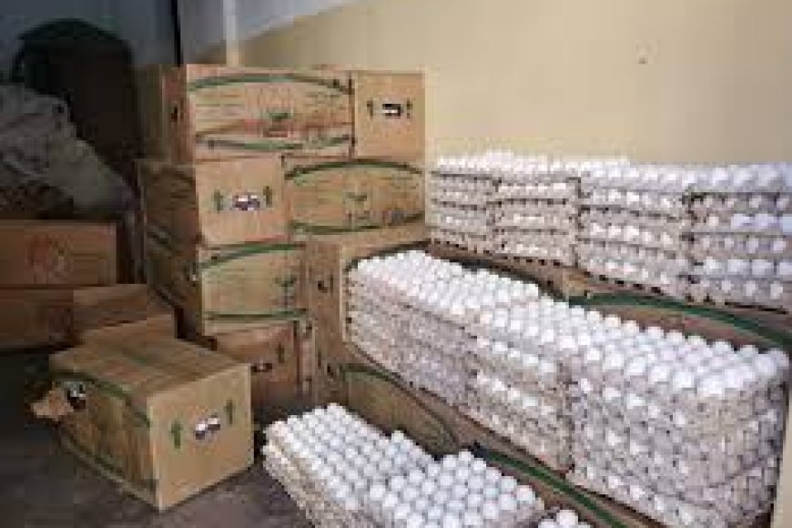 مواطنون يشتكون عبر &laquo;السدة نيوز&raquo; من ارتفاع أسعار البيض بساحل حضرموت