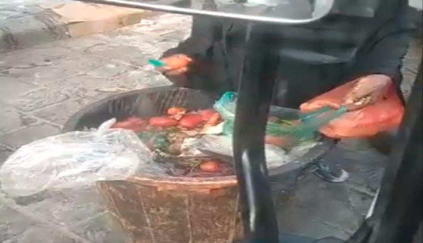 امرأة تنقي طعامها من صندوق القمامة.. فيديو