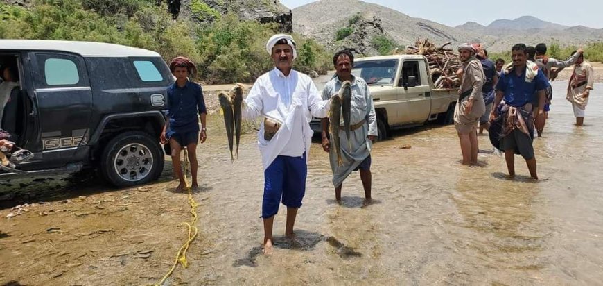 مأرب.. هل يصطاد سكان رحبة الأسماك من الأنهار؟ مصدر يوضح الأسباب