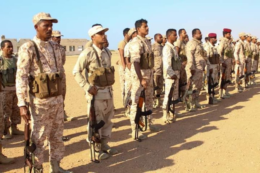 مصدر مقرب من قيادة التحالف: الحوافز المالية للنخبة الحضرمية مستمرة دون تغيير