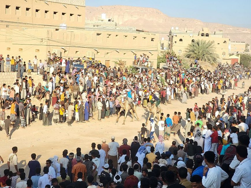 سباق الهجن السنوي في تريم يجذب جماهير غفيرة