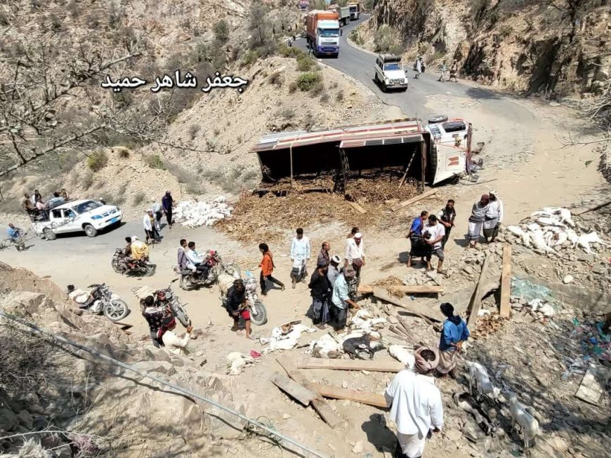 مأساة على طريق القبيطة.. انقلاب شاحنة يودي بحياة عشرات الأغنام