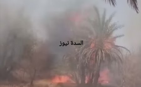 عاجل.. حريق يلتهم النخيل بمنطقة صيف بمديرية دوعن