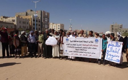نقابات المعلمين في شبوة تهدد بعصيان مدني شامل وتطالب بتحسين الرواتب ووقف الانتهاكات