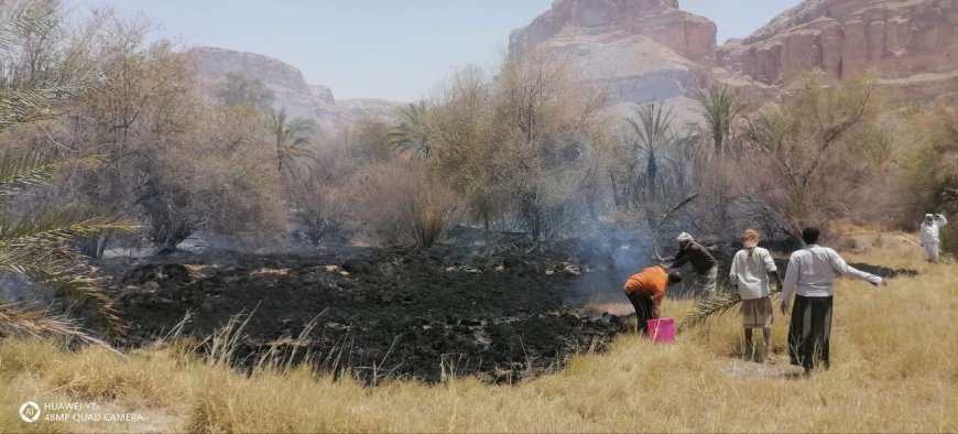 جهود أهالي دوعن تُخمد حريقاً التهم عشرات النخيل في صيف