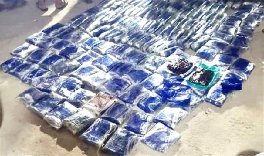 الشبو والحشيش في الصدارة.. تقرير رسمي يكشف حصيلة مكافحة المخدرات