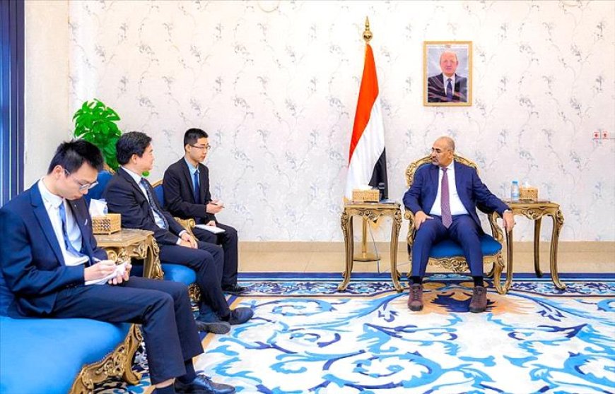 الزبيدي يؤكد حاجة اليمن للخبرات الصينية لإعادة تأهيل قطاع الكهرباء