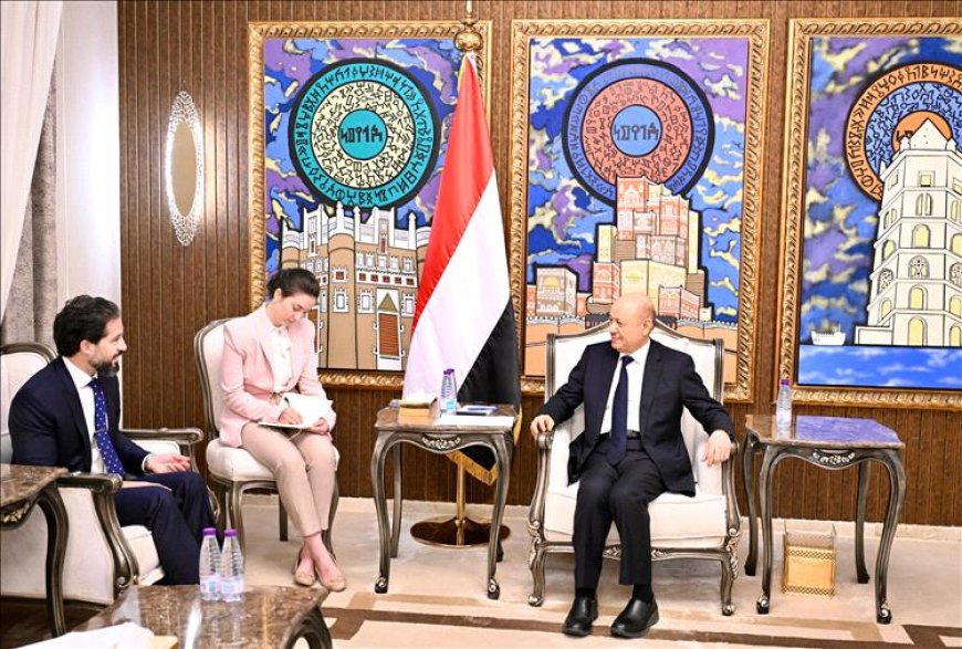 العليمي يؤكد أهمية الدعم الدولي للإصلاحات وتعزيز الاستقرار الاقتصادي