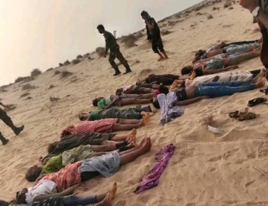 الهجرة الدولية تعلن عن إنقاذ دفعة أخرى من المهاجرين بعد مأساة سابقة