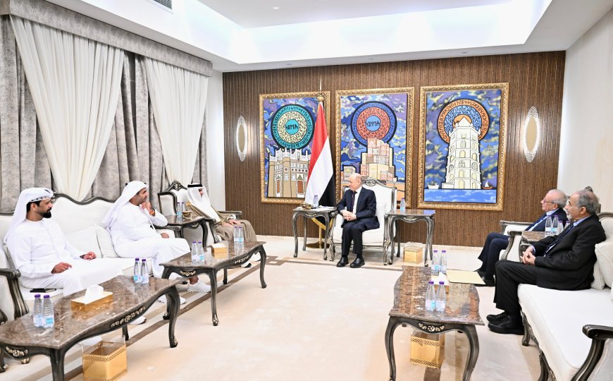 رئيس مجلس القيادة الرئاسي يشيد بالدور الإماراتي في دعم قطاع الكهرباء