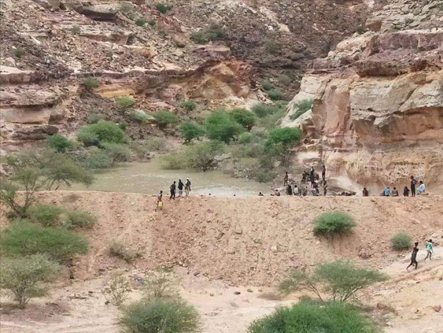 وفاة مهاجر أفريقي غرقاً في مديرية الصعيد بمحافظة شبوة