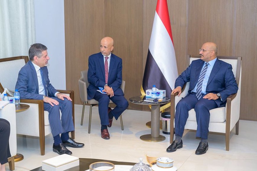 ملفات الأمن والاقتصاد على طاولة مباحثات طارق صالح والسفير الأمريكي بالإمارات