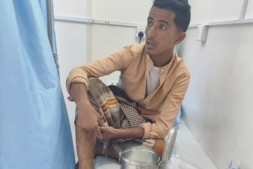 الكلاب الضالة تعود لتهاجم.. وأهالي بروم يطالبون بالتدخل