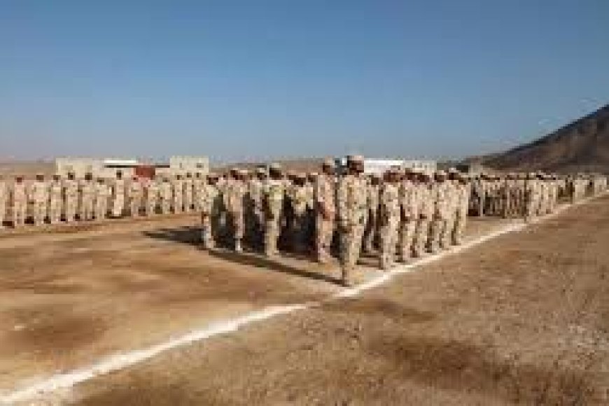 قرار شجاع.. إعادة هيكلة لواء بارشيد لحماية استقرار حضرموت