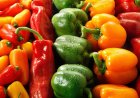 الفلفل الحلو.. ألوان متعددة وفوائد تعزز المناعة