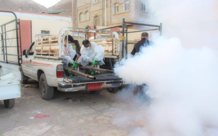 بروم تشهد حملات مكثفة لمكافحة الكلاب الضالة والبعوض وتواصل أعمال إزالة مخلفات الأمطار والسيول