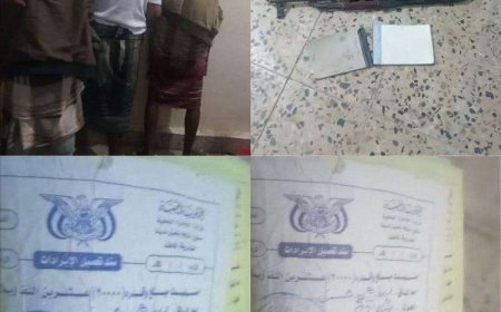 القبض على محصلي الجبايات غير القانونية خلال حملة أمنية في أبين 