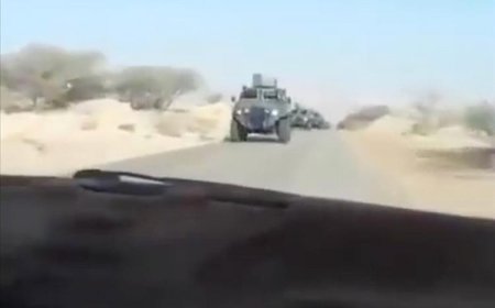 أرتال عسكرية قادمة من المملكة تتجه نحو العاصمة المؤقتة عدن