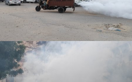 انطلاق عملية الرش الضبابي لمكافحة الحشرات في محيط خور المكلا