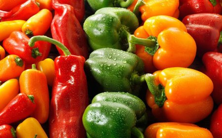 الفلفل الحلو.. ألوان متعددة وفوائد تعزز المناعة
