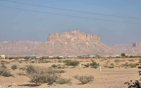 بعد نصف شهر من التوقيف.. الإفراج عن قواطر الوقود في عتق