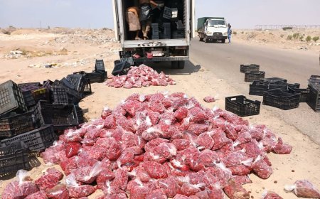 إتلاف كمية كبيرة من الفراولة غير صالحة للإستهلاك الآدمي في مديرية المنصورة بعدن