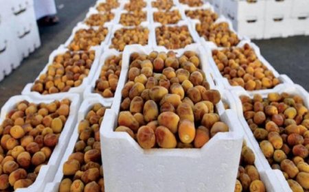 المملكة تعزز ريادتها عالمياً بصادرات التمور إلى أكثر من 125 دولة