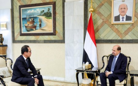 رئيس الوزراء وزير الخارجية وشؤون المغتربين يستقبل السفير الياباني لدى اليمن