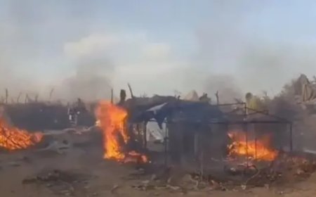 حملة أمنية في أبين تضبط 25 متورطاً في تهريب المهاجرين