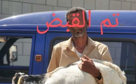 بعد تداول فيديو يوثّق الواقعة.. أمن عدن يلقي القبض على سائق باص متهم بسرقة أغنام