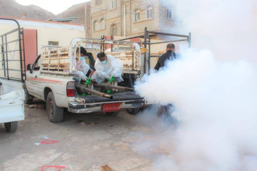 بروم تشهد حملات مكثفة لمكافحة الكلاب الضالة والبعوض وتواصل أعمال إزالة مخلفات الأمطار والسيول