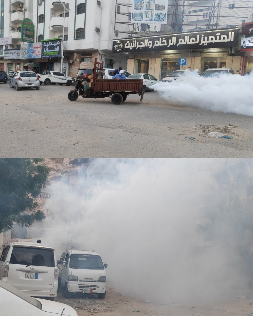انطلاق عملية الرش الضبابي لمكافحة الحشرات في محيط خور المكلا